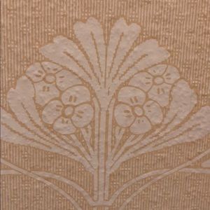 Meet your Posher, Ambreen